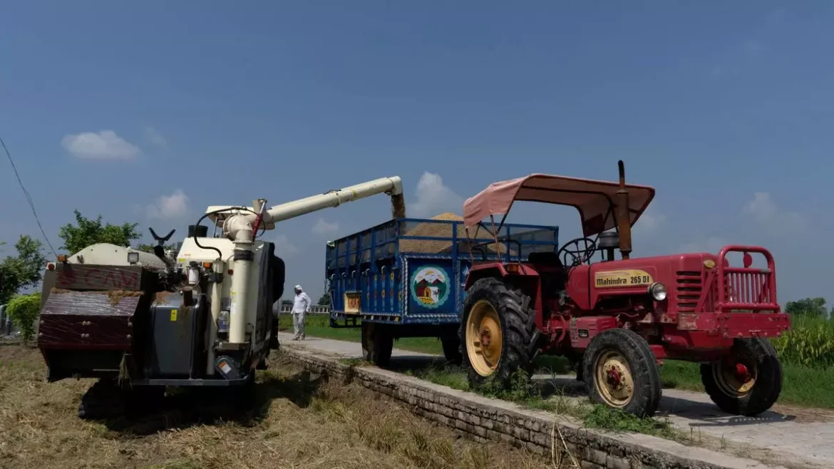 2024-09-10T173941Z_1384063813_RC2WW9A4QYYL_RTRMADP_3_INDIA-RICE